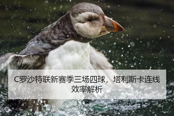C罗沙特联新赛季三场四球，塔利斯卡连线效率解析
