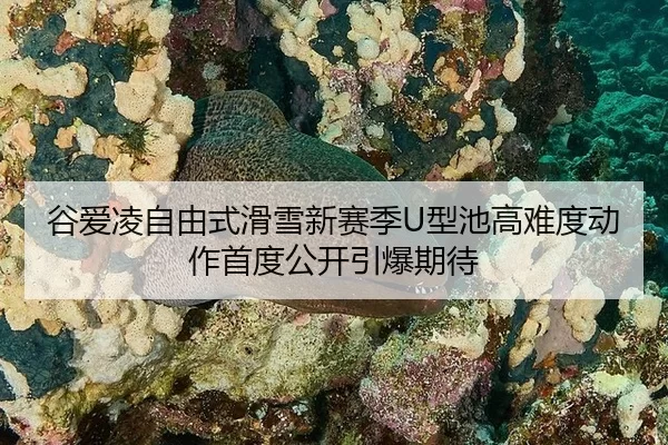 谷爱凌自由式滑雪新赛季U型池高难度动作首度公开引爆期待